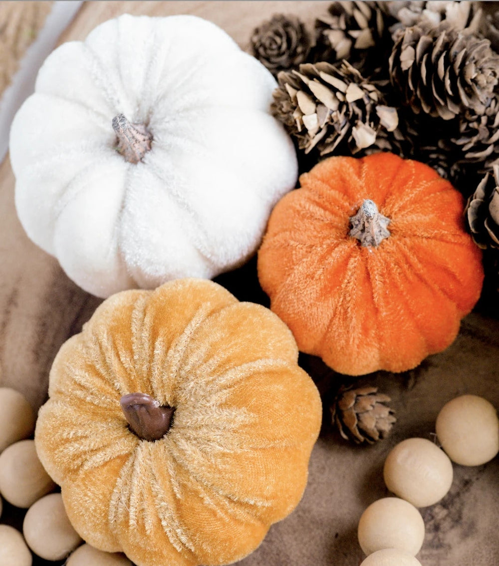 Pumpkin Spice and Everything Nice