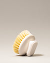 Body Dry Brush